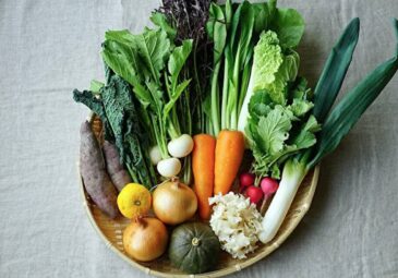 坂ノ途中の野菜セット