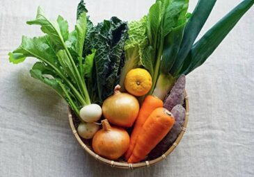 坂ノ途中の野菜セット