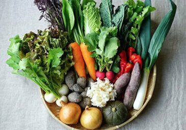 坂ノ途中の野菜セット